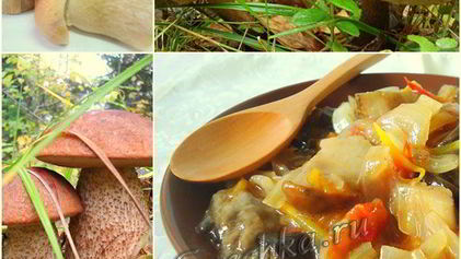 Рецепт Грибной солянки