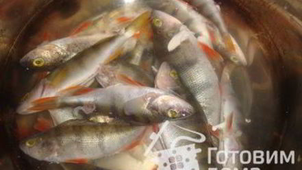 Рецепт рыбной солянки сборной