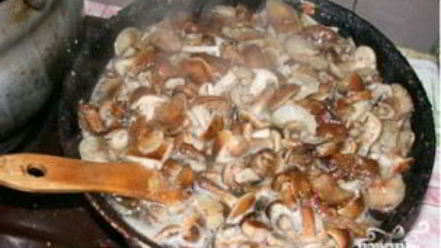 Рецепт солянки из опят с капустой