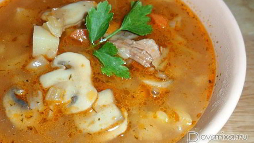 Рецепт супа-солянки с грибами и капустой