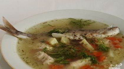 Рецепт Супа из речной рыбы