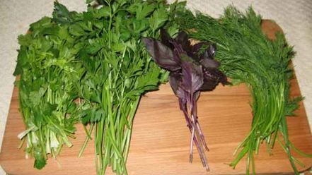 Рецепт грузинского супа харчо