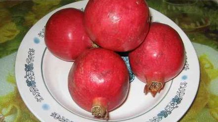 Рецепт грузинского супа харчо