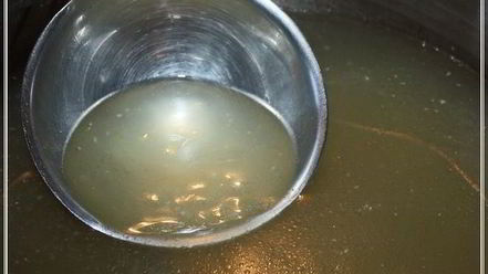 Рецепт харчо из рыбы по принципу сулаквелидзе