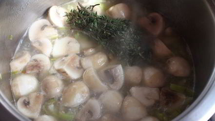 Рецепт ароматного грибного супа-пюре из шампиньонов с тимьяном
