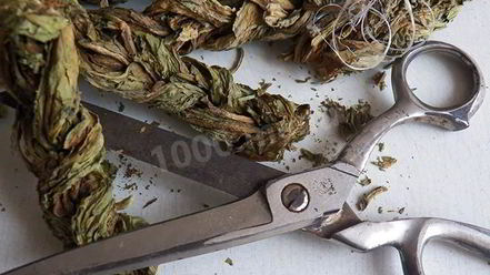 Рецепт конского щавеля — супа-пюре из авелука