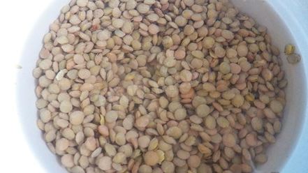 Рецепт конского щавеля — супа-пюре из авелука