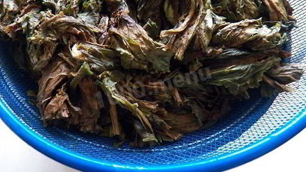 Рецепт конского щавеля — супа-пюре из авелука