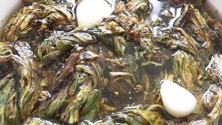 Рецепт конского щавеля — супа-пюре из авелука