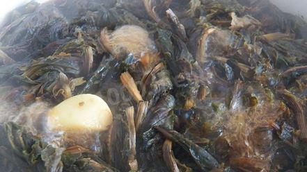 Рецепт конского щавеля — супа-пюре из авелука