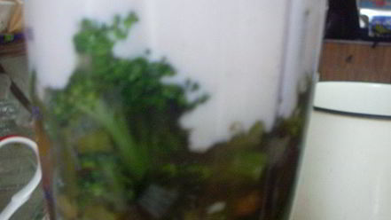 Рецепт супа-пюре из брокколи с сырным сливочным соусом