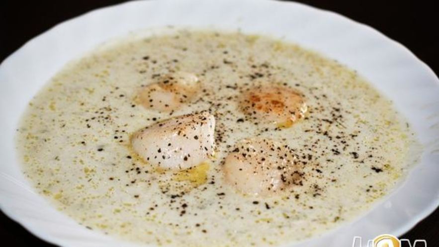 Рецепт супа пюре из кольраби с морскими гребешками