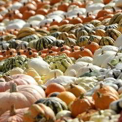 Рецепт Тыквенного супа-пюре на овощном бульоне с карри