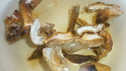 Рецепт супа с белыми грибами