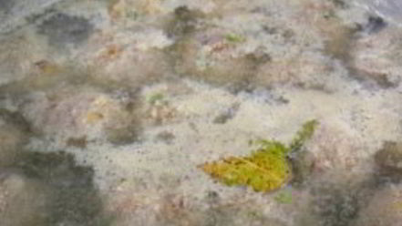 Рецепт супа с фрикадельками без зажарки