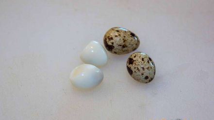 Рецепт свекольника холодного с ботвой