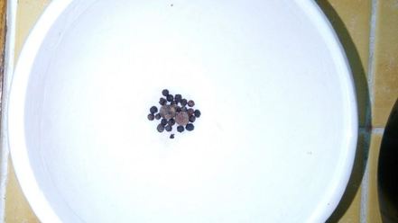 Рецепт свекольника с говядиной