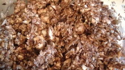 Рецепт свекольника с грибными пельмешками