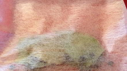 Рецепт свекольника с грибными пельмешками