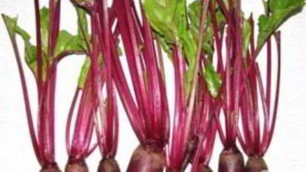 Рецепт свекольника с листьями свеклы