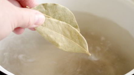 Рецепт домашней ухи из пангасиуса