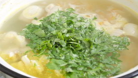 Рецепт домашней ухи из пангасиуса