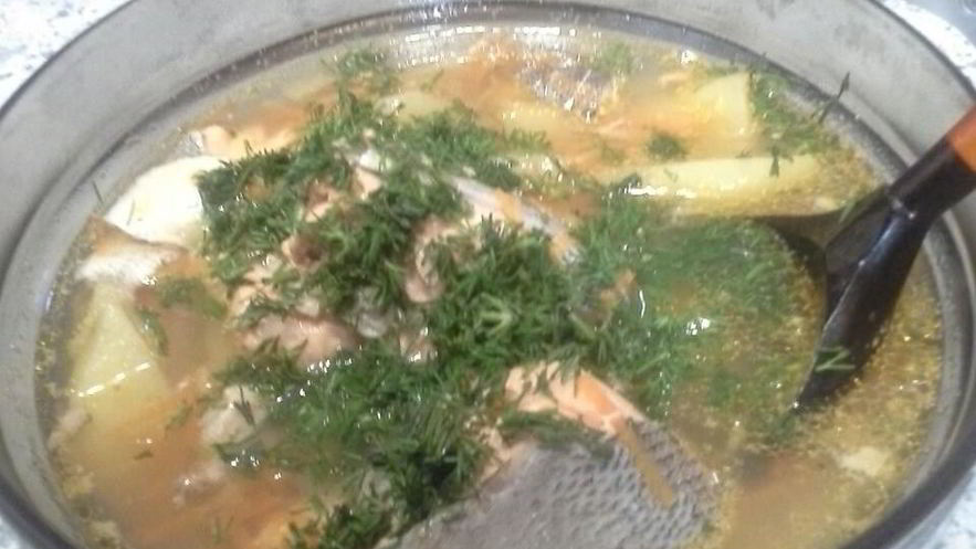 Рецепт домашней ухи