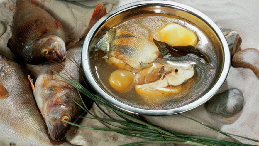 Рецепт рыбацкой ухи из судачков