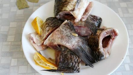 Рецепт рыбного супа уха из карася