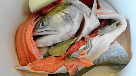 Рецепт рыбного супа уха из кеты