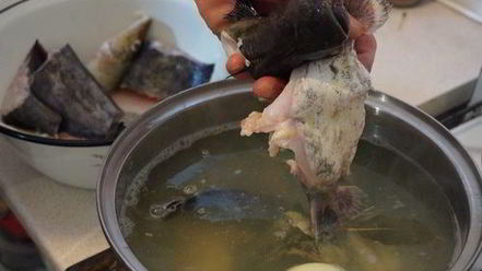 Рецепт сборной ухи из сома и ерша-носаря