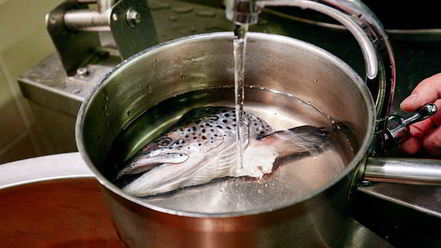 Рецепт ухи давиды