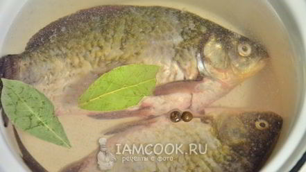 Рецепт ухи из карасей