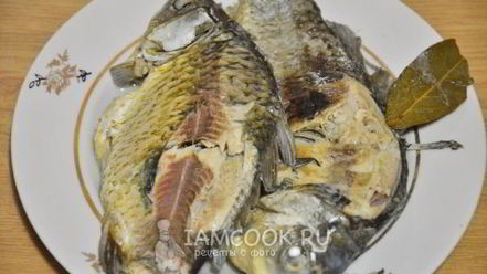 Рецепт ухи из карасей