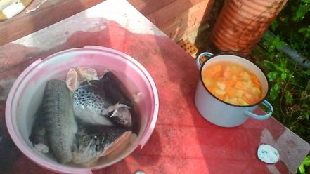 Рецепт ухи из лосося и форели