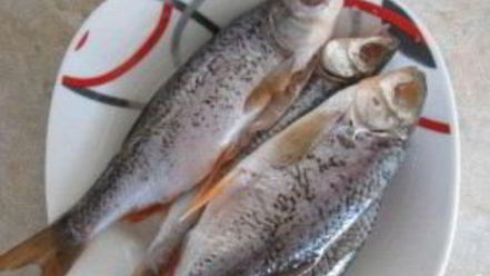 Рецепт ухи из плотвы