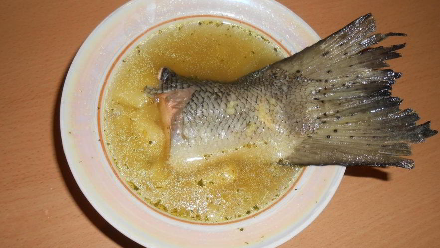 Рецепт ухи из семги с пшеном