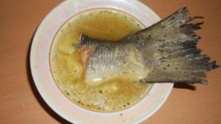 Рецепт ухи из семги с пшеном