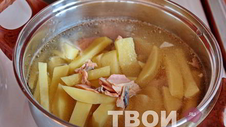 Рецепт ухи из семги