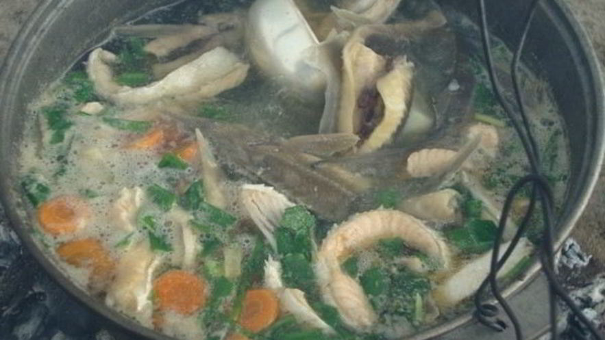 Рецепт ухи из стерляди и семги