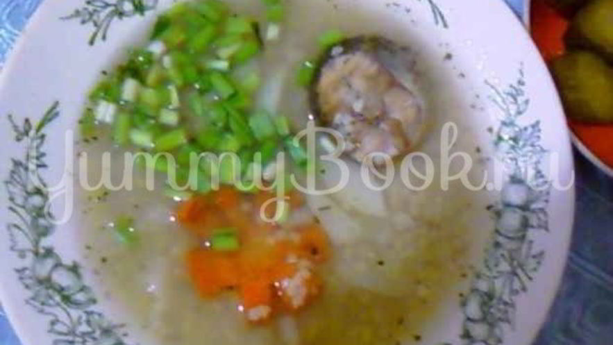 Рецепт ухи из судака