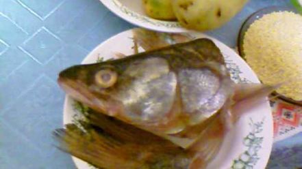 Рецепт ухи из судака