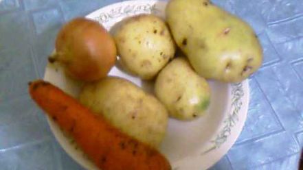 Рецепт ухи из судака