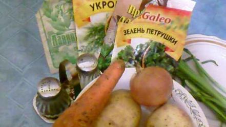 Рецепт ухи из судака