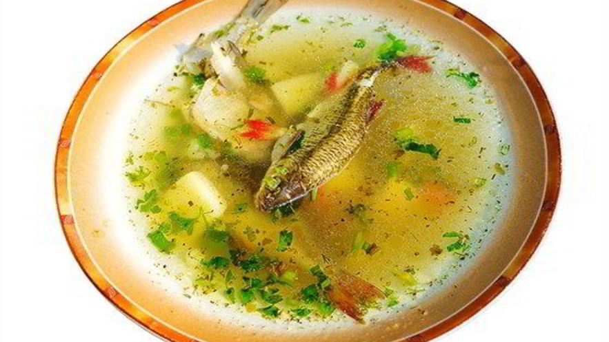 Рецепт ухи из свежей речной рыбы