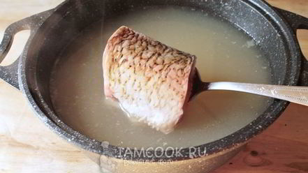 Рецепт ухи из язя