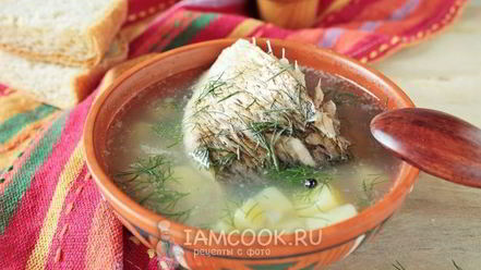 Рецепт ухи из язя