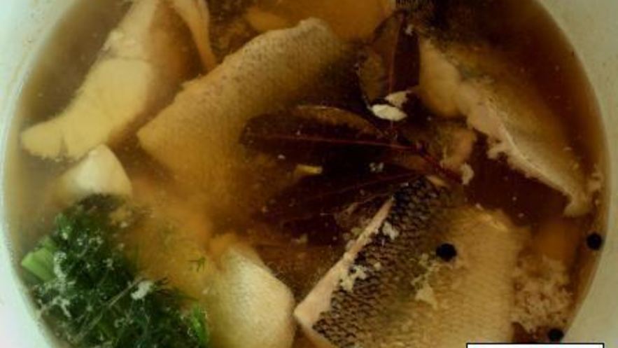 Рецепт ухи на костре