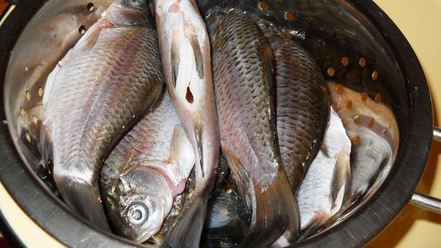 Рецепт ухи по-домашнему