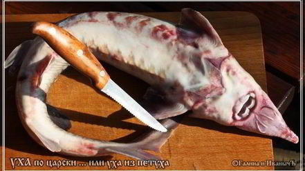 Рецепт ухи по-царски из петуха